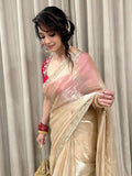 Bollywood Inspired Soft Jimmy Choo Saree with Katdana & Sequin Work