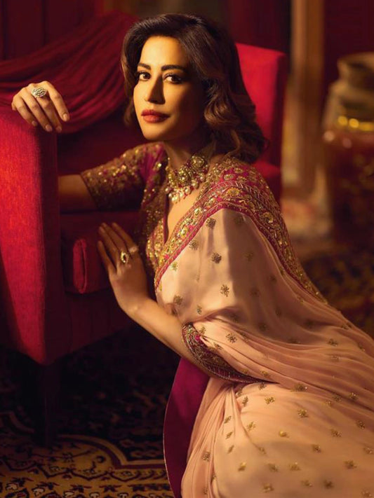 Chitrangda Inspired Pink Saree with Maroon Embroidered Border