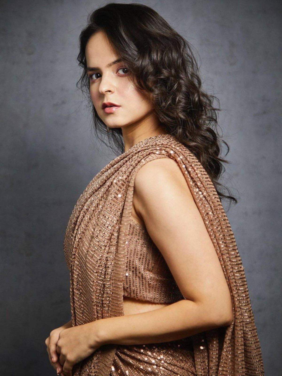 Palak-Inspired Glamorous Chocolate Brown Sequin Saree-67289636601937