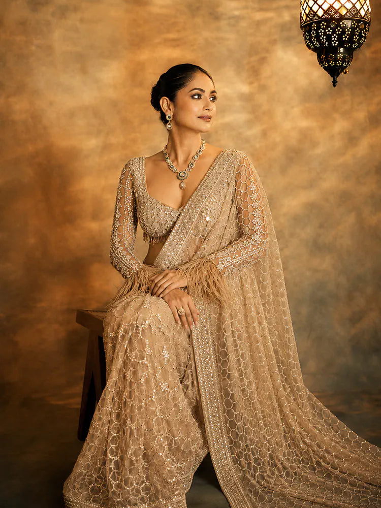 Bollywood Inspired Golden Honeycomb Pattern Net Saree with Tassel Border-71929913737297