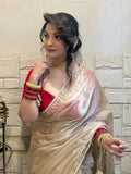 Bollywood Inspired Soft Jimmy Choo Saree with Katdana & Sequin Work