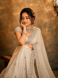 Soft Crunchy Silk Saree with Katdana and Sequin Work