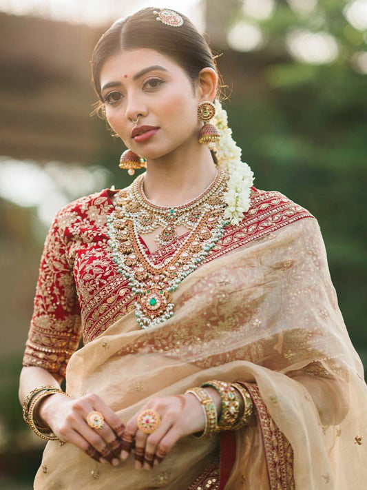 Bollywood-Inspired Soft Tissue Organza Saree with Gold Dori Work and Contrast Blouse-67889538695249