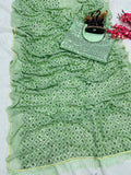 Madhuri Inspired Pista Green Saree with Embroidery and Sequin Detailing