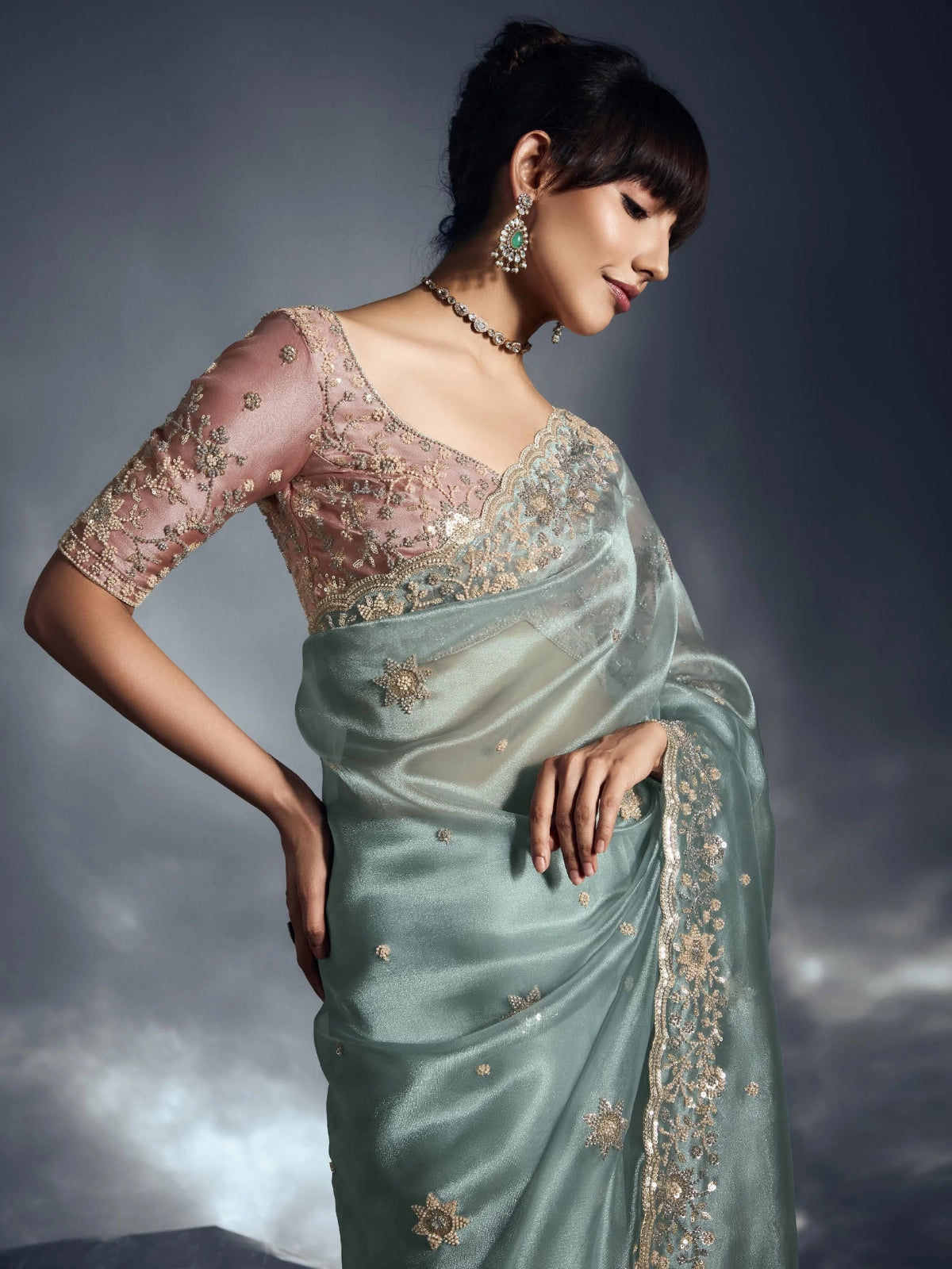 Designer Organza Saree with Heavy Embroidered Border & Blouse - Sea Green