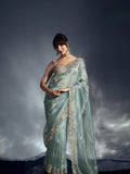 Designer Organza Saree with Heavy Embroidered Border & Blouse - Sea Green