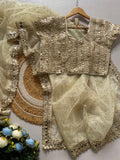 Bollywood Inspired Organza Real Mirror Work Saree with Free Size Blouse