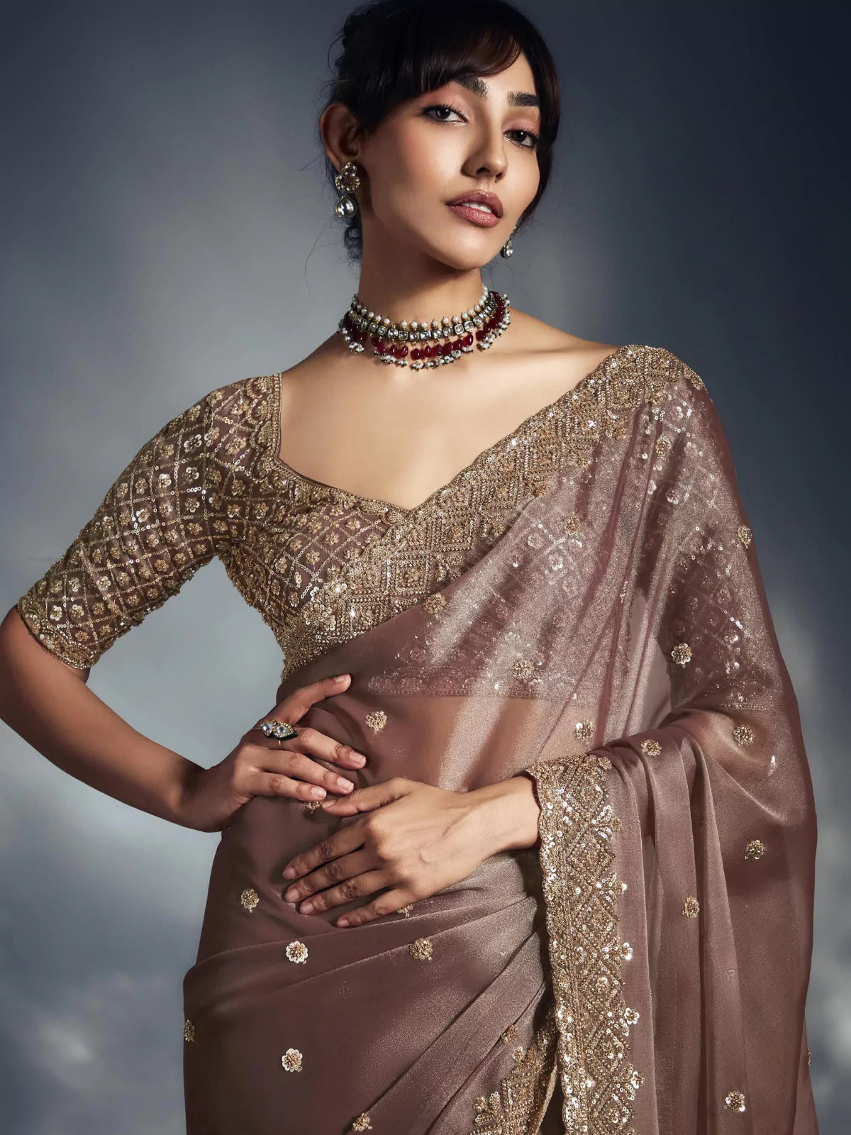 Designer Organza Saree with Heavy Embroidered Border & Blouse - Dusky Brown