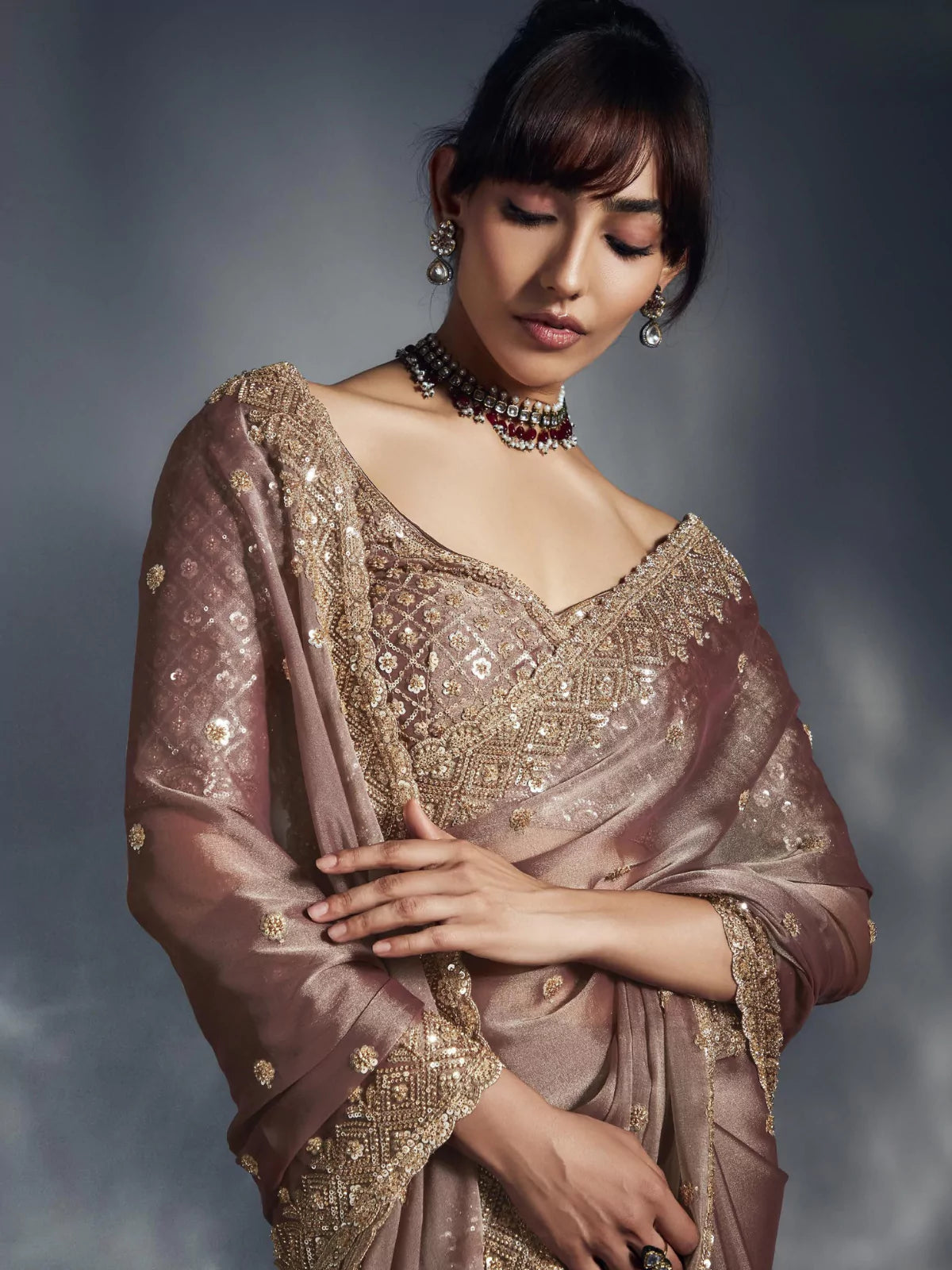 Designer Organza Saree with Heavy Embroidered Border & Blouse - Dusky Brown
