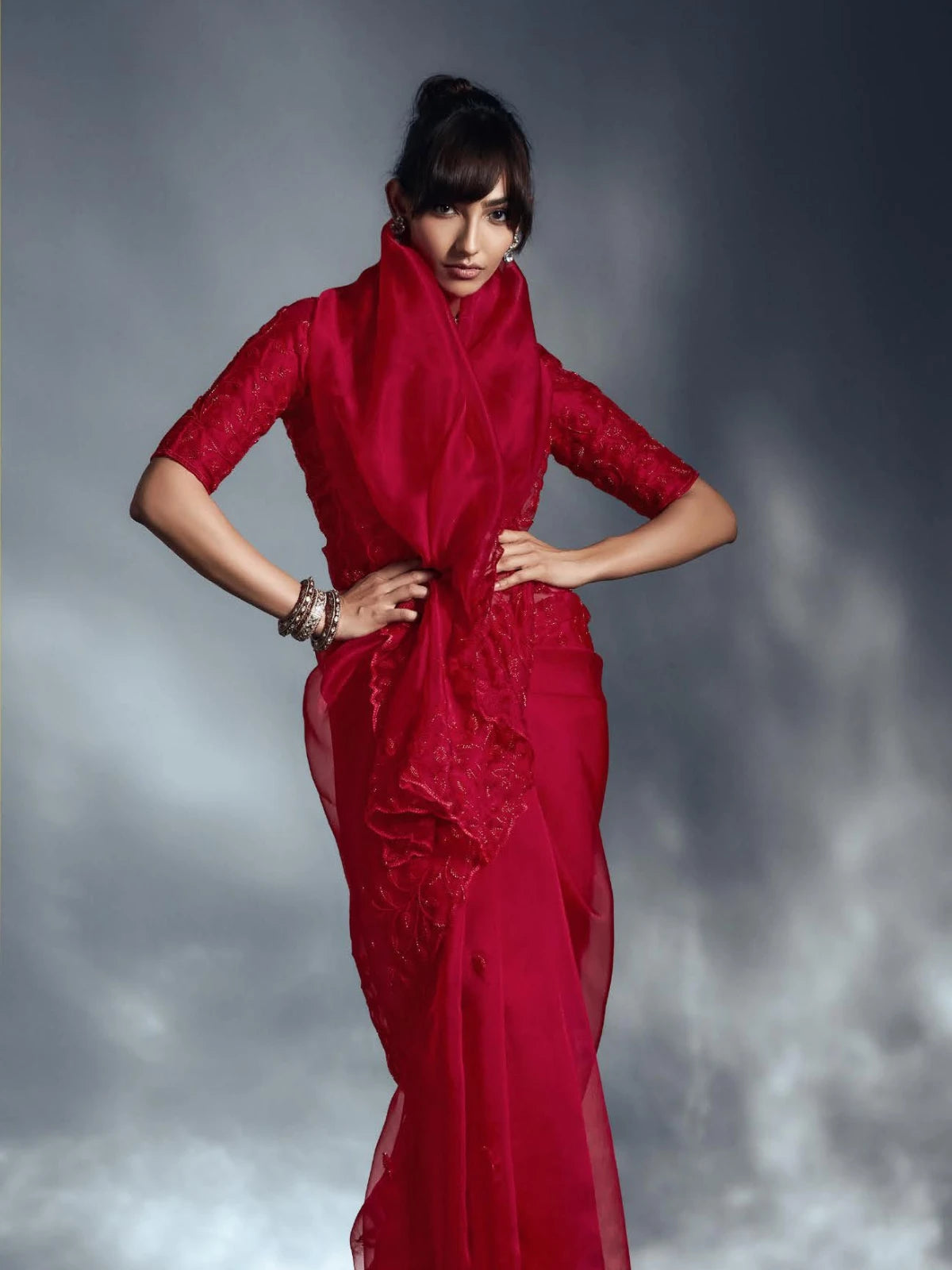 Designer Organza Saree with Heavy Embroidered Border & Blouse - Red