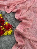Bollywood Inspired Pink Sequin Saree with Embroidery Border