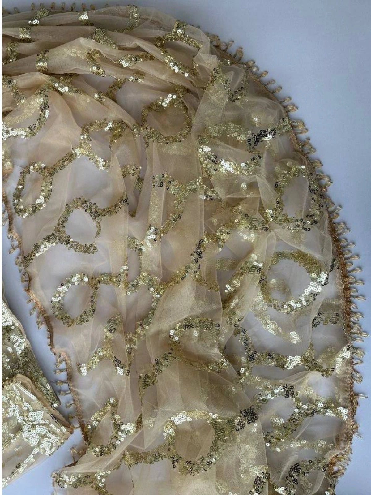 Bollywood-Inspired Designer Beige Soft Net Saree with Sequin & Bead Embroidery-71826327994449