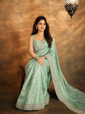 Bollywood Inspired Premium Kanjivaram Pista Silk Saree