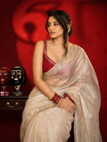 Bollywood Inspired Soft Jimmy Choo Saree with Katdana & Sequin Work