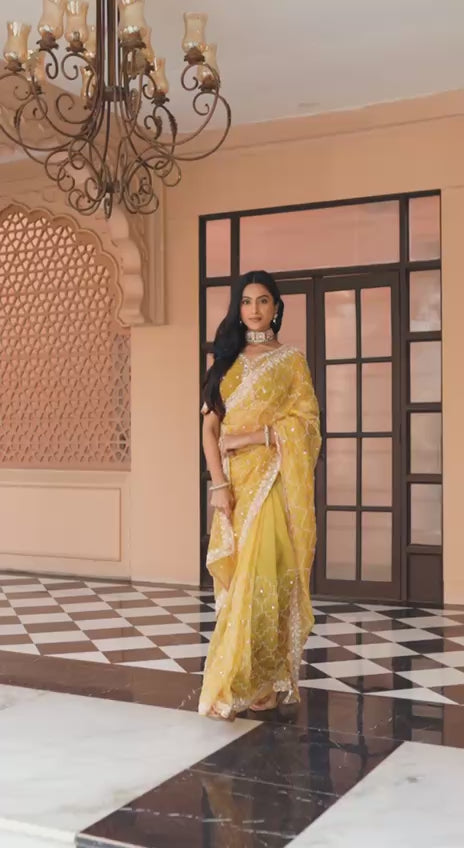 Mustard Yellow Net Saree with Embroidery and Intricate Border-67249498914897